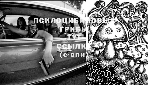 MDMA Premium VHQ Михайловка