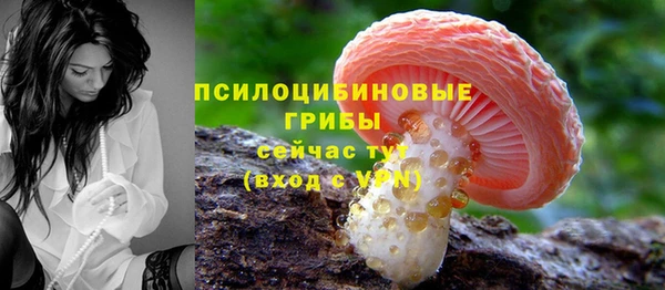 MDMA Premium VHQ Михайловка